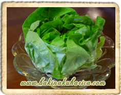 salate recepti bakina kuharica